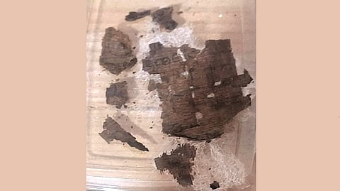 Iliad manuscript mummy |