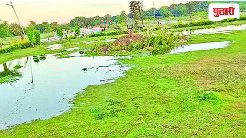 पैठणचे संत ज्ञानेश्वर उद्यान कोमात