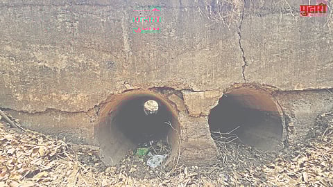 Wandri dam canal safety issue