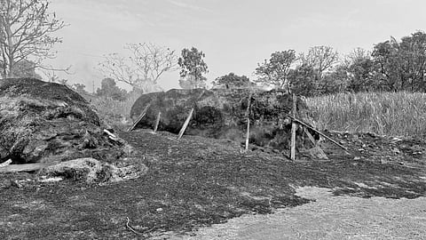 Sangli news: रिळे येथे गवताच्या गंजीला आग