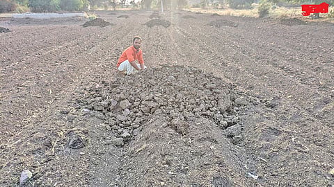 Organic farming demand