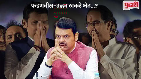 Fadnavis Uddhav Thackeray