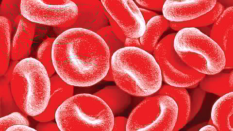 Blood sugar leveal |