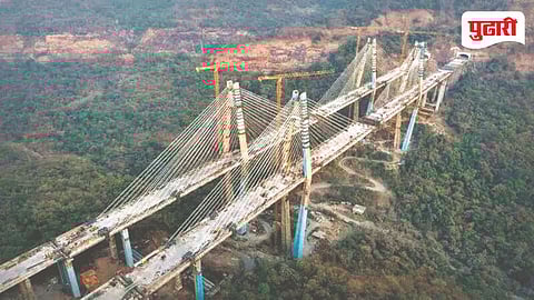 Missing Link Project