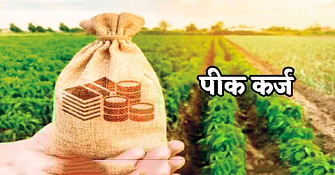 Crop loan increase