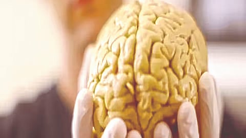 90 टक्के मेंदू नसतानाही ‘तो’ जगत होता सामान्य आयुष्य