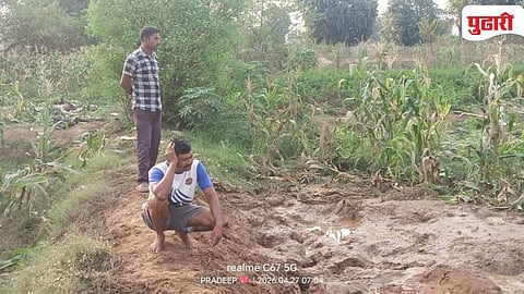 Elephant Usegaon crop damage