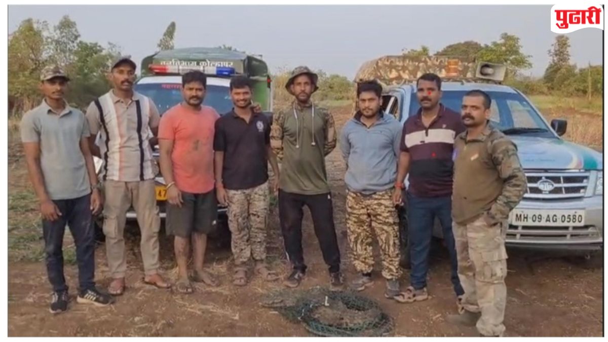 Panhala Crocodile Rescued : सातवे तर्फ शिंदेवाडीत विहिरीतील पाच फुटी मगरीला वनविभागाकडून जीवदान