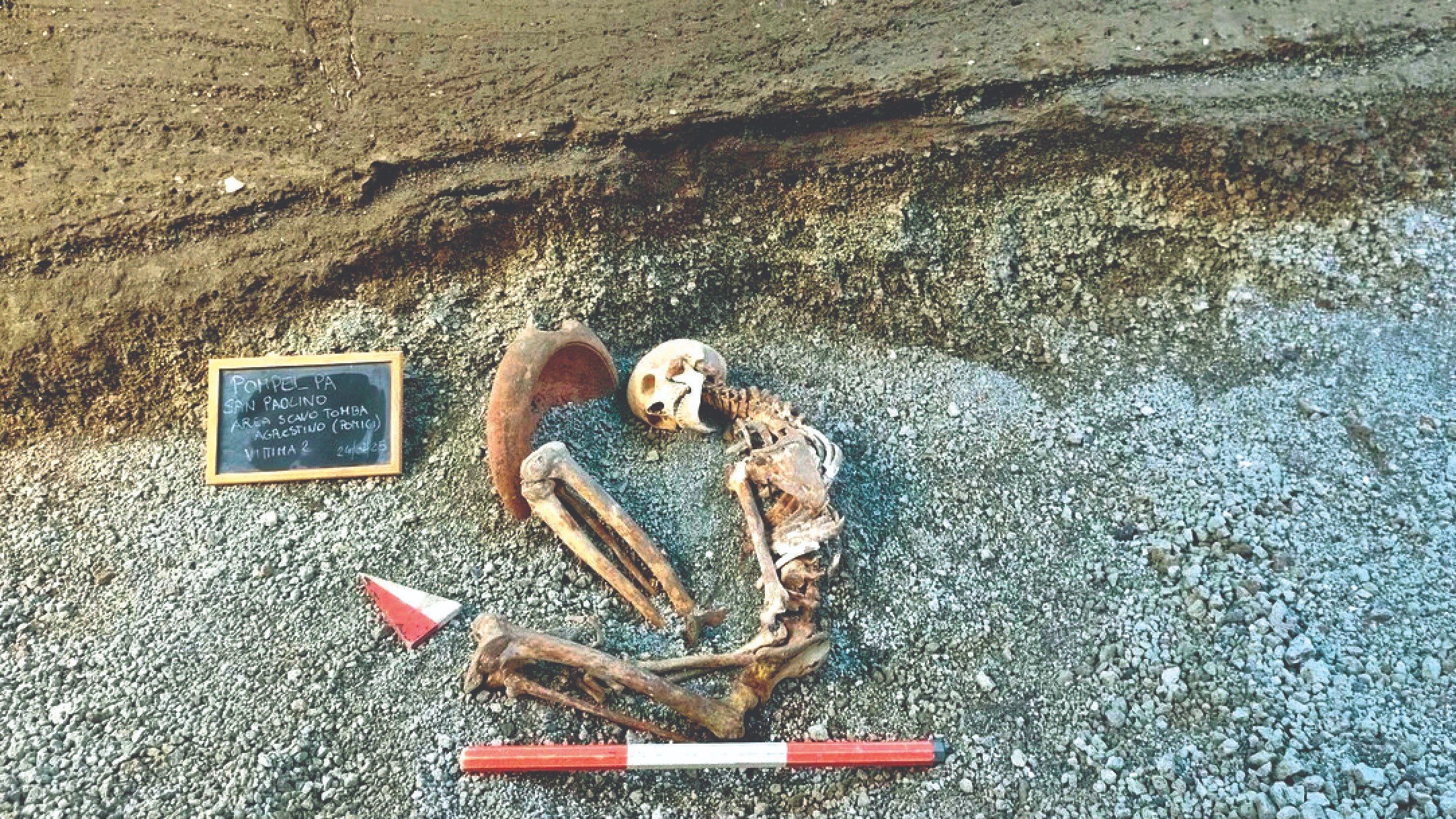 AI face by skeletan |