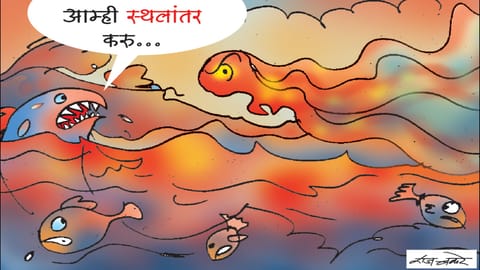 पहिला चहा |अल निनो आणि ला नीना