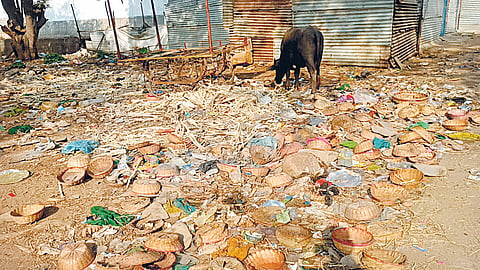 Saundatti News: यल्लम्मा डोंगर अस्वच्छतेच्या विळख्यात