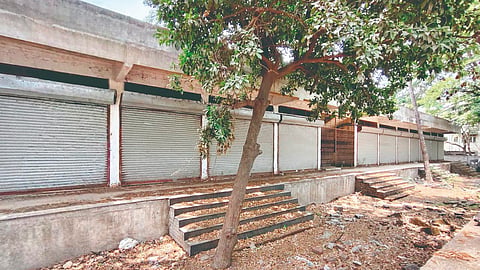 Sangli News : झेडपीचे उत्पन्न वाढीचे स्वप्न धूळखात