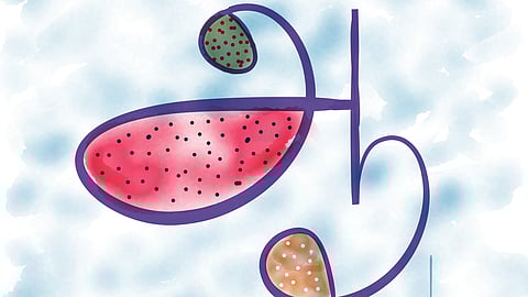 தாய்மொழிக் கல்வி