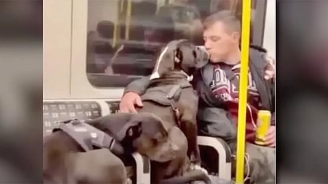 Marshall and Millions