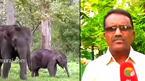 former forest officer