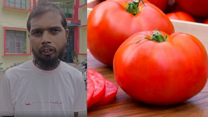 சஞ்சீவ் புர்மன், தக்காளி