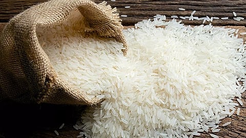 rice export ban