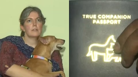 இத்தாலி செல்ல உள்ள இந்திய தெருநாய்