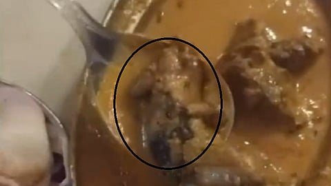 மட்டன் குழம்பில் எலி