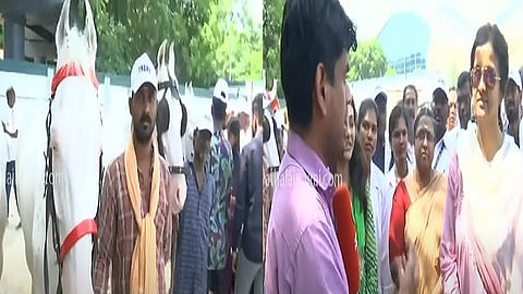 குதிரை மருத்துவ முகாம்