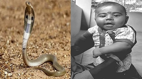 பாம்பு கடித்த குழந்தை
