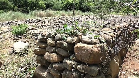 தடுப்பணை