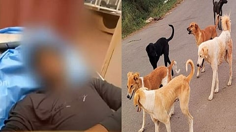 நாய் கடித்து இறந்த இளைஞர்