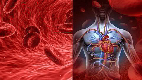 ரத்த அழுத்தம்