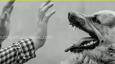 மாதிரி புகைப்படம்