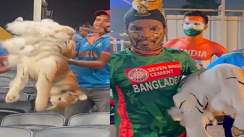 ஷோயப் அலி