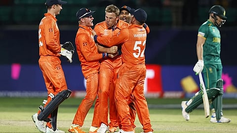 நெதர்லாந்து, தென்னாபிரிக்கா