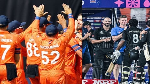 newzealand vs netherlands