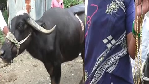 மகாராஷ்டிரா