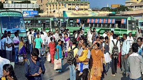 சிறப்புப் பேருந்துகள்