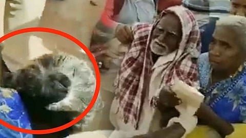 மயிலாடுதுறை வயதான தம்பதி