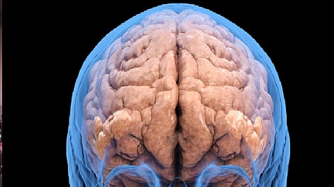 புதிய ஆய்வு