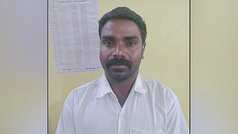 தென்னரசு