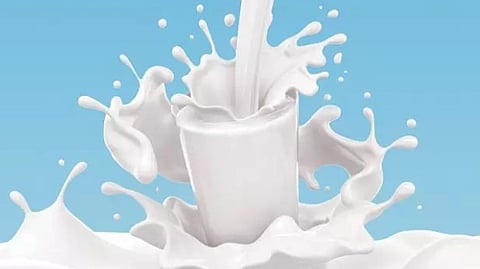 பால் மூலம் கிடைக்கும் கொழுப்புகள்