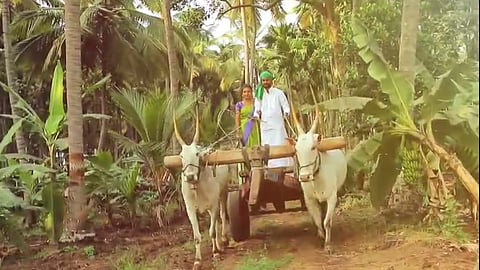 pre wedding photoshoot