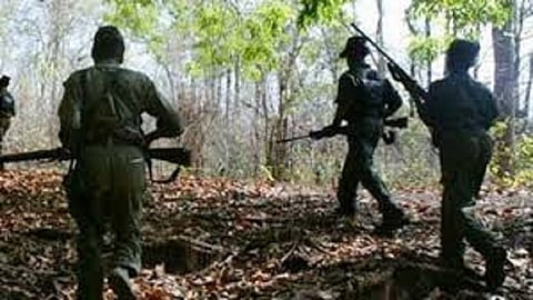 rise in women maoists killed in operations in chhattisgarh
