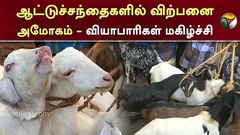 ஆட்டுச்சந்தைகளில் விற்பனை