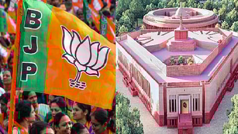 பாஜக, நாடாளுமன்றம்