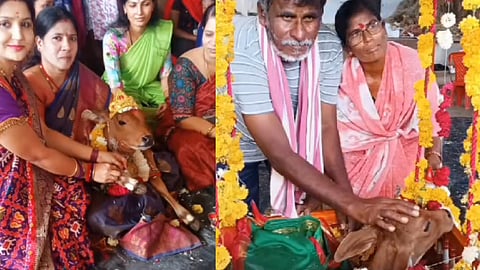 கன்றுக்கு பெயர் சூட்டு விழா