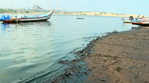 கச்சா எண்ணெய்