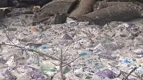 பால் பாக்கெட்கள்