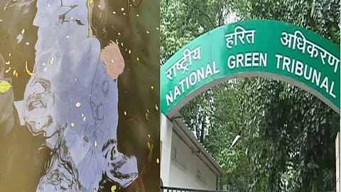 கச்சா எண்ணெய், பசுமைத் தீர்ப்பாயம்