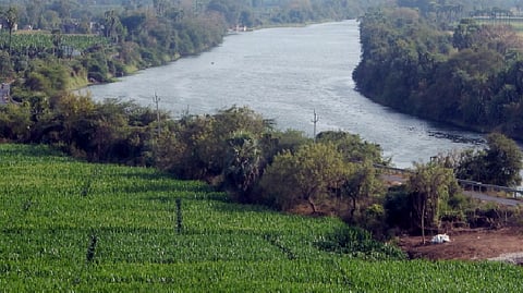 பக்கிங்காம் கால்வாய்