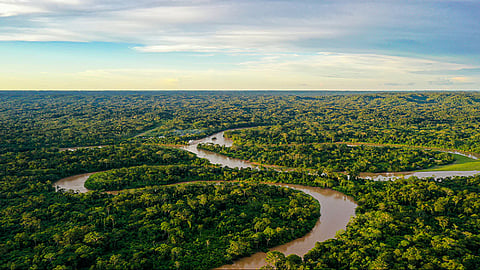 அமேசான்