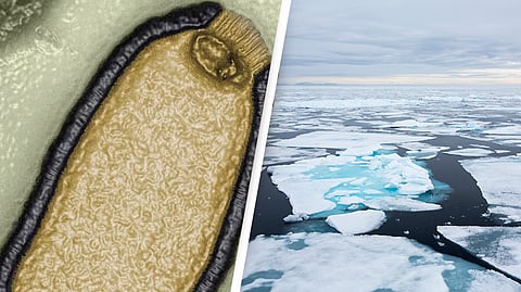 ஆபத்தான ஜாம்பி வைரஸ்