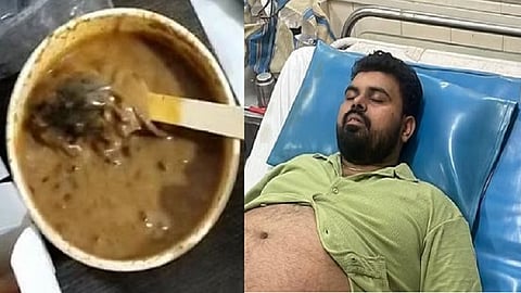 உணவில் எலி